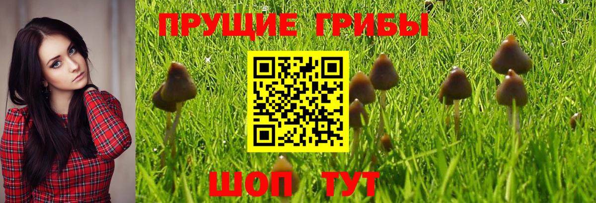 Галлюциногенные грибы MAGIC MUSHROOMS  Вход с VPN  Псилоцибиновые грибы мухоморы  Аша 