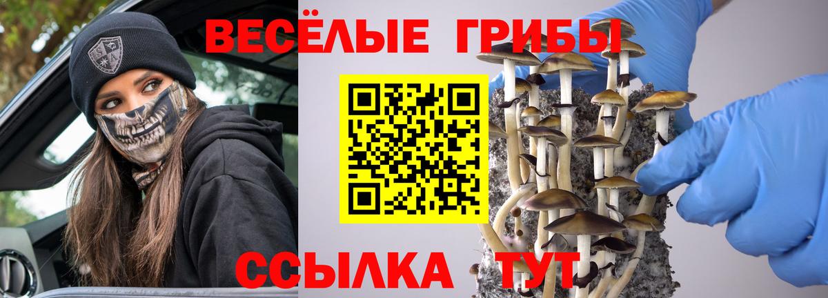 Галлюциногенные грибы GOLDEN TEACHER Аша
